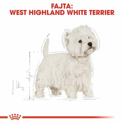 Royal Canin West Highland White Terrier Adult 4 Royal Canin West Highland White Terrier Adult - Image 2