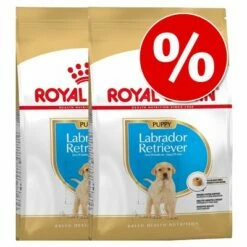 Royal Canin Fajta Szerinti Táp Puppy Gazdaságos Csomag 2 X Nagy Tasak