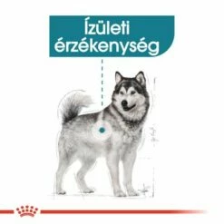 Royal Canin Maxi Joint Care -Olcsó Zooplus bolt rc ccn jointcaremaxi cv eretailkit 2 hu hu 8