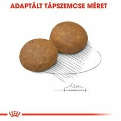 Royal Canin Maxi Adult 5+ -Olcsó Zooplus bolt rc shn adultmaxi5 cv eretailkit 3 hu hu 3