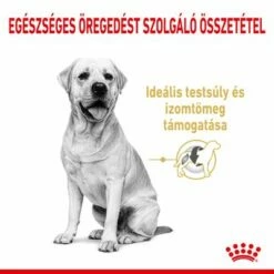 Royal Canin Labrador Retriever Adult 5+ -Olcsó Zooplus bolt rc spt dry lab5 cv 1 hu hu 2