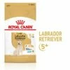 Royal Canin Labrador Retriever Adult 5+ -Olcsó Zooplus bolt rc spt dry lab5 mv 1 hu hu 6