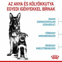Royal Canin Maxi Starter Mother & Babydog -Olcsó Zooplus bolt rc spt dry maxistart cv 2 hu hu 8
