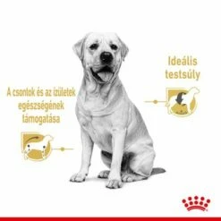 Royal Canin Labrador Retriever Adult Szószban -Olcsó Zooplus bolt rc spt wet labad cv 1 hu hu 6