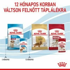 Royal Canin Medium Puppy Szószban -Olcsó Zooplus bolt rc spt wet mediumpuppy cv 8 hu hu 9