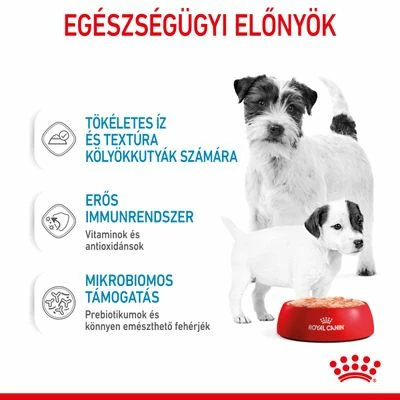 Royal Canin Starter Mother & Babydog Ultra Soft Mousse 6 Royal Canin Starter Mother & Babydog Ultra Soft Mousse - Image 4