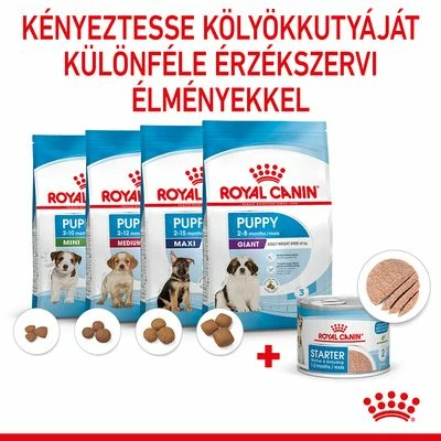 Royal Canin Starter Mother & Babydog Ultra Soft Mousse 7 Royal Canin Starter Mother & Babydog Ultra Soft Mousse - Image 5