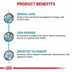 Royal Canin Veterinary Canine Skin Care -Olcsó Zooplus bolt rc vet dry dogskincare b1 page 3 2