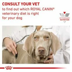 Royal Canin Veterinary Canine Hypoallergenic Mousse -Olcsó Zooplus bolt rc vet wet doghypo400g b1 page 6 3