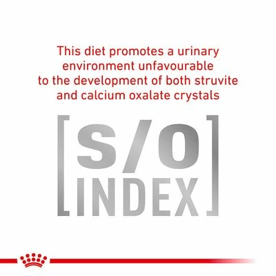 Royal Canin Veterinary Canine Urinary S/O Mousse 8 Royal Canin Veterinary Canine Urinary S/O Mousse - Image 6