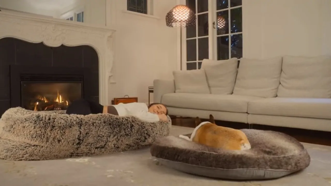 Olcsó Zooplus bolt -Olcsó Zooplus bolt szumo 1