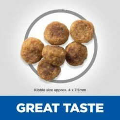 Hill's Science Plan Adult 1-6 Small & Mini Bárány & Rizs -Olcsó Zooplus bolt uk dog adult s m lamb kibbles 7