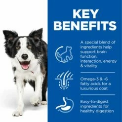 Hill's Science Plan Mature Adult 7+ Youthful Vitality Medium Csirke -Olcsó Zooplus bolt uk dog ma medium yv chicken transition benefits 2